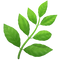 herb_1f33f.png